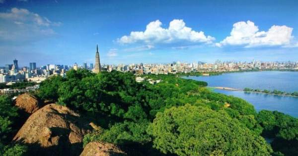 學習國外苗木行業經驗，搶先了解國內市場動態