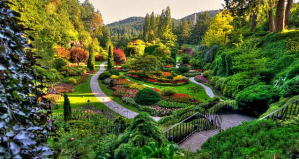 學習國外苗木行業經驗，搶先了解國內市場動態