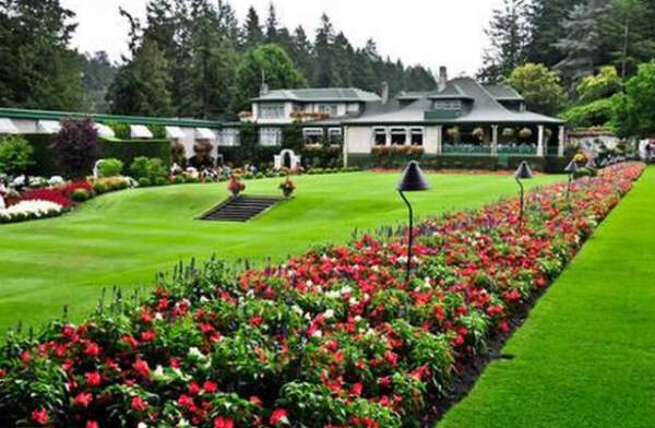 學習國外苗木行業經驗，搶先了解國內市場動態