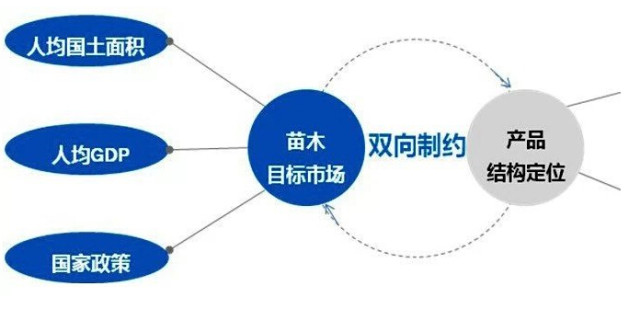 學習國外苗木行業經驗，搶先了解國內市場動態