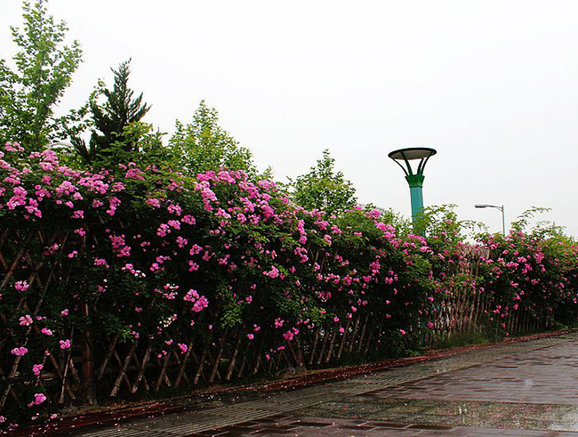 1634714203691163.jpg src=http___1863.img.pp.sohu.com.cn_images_2011_5_21_19_16_u53810133_130cc38f252g213.jpg&refer=http___1863.img.pp.sohu.com.jpg